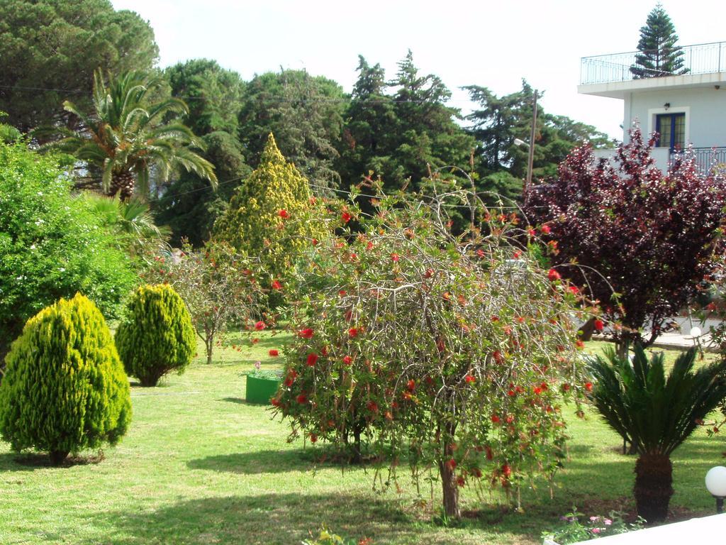 Finikes Studios Kefalonia Sami  Exterior photo