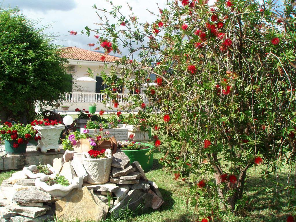 Finikes Studios Kefalonia Sami  Exterior photo