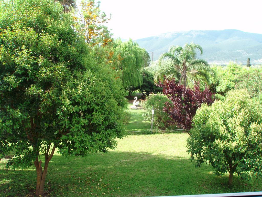 Finikes Studios Kefalonia Sami  Exterior photo